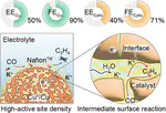 Congratulations to Dr. Jin Zhang on Publishing a Research Article in Angewandte Chemie International Edition