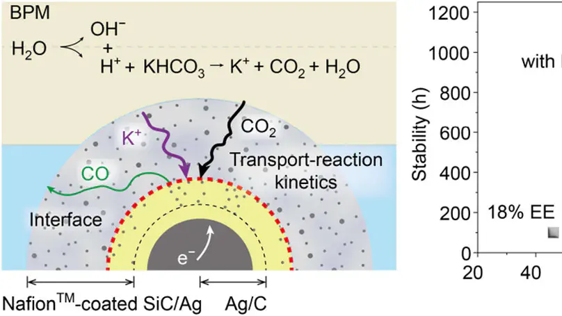 Congratulations to Dr. Zhaoyang Liu on Publishing a Research Article in JACS